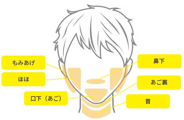 BODY脱毛の料金