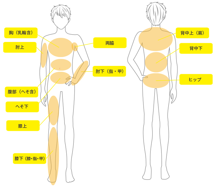 BODY脱毛の料金